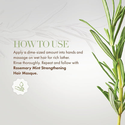 Rosemary Mint Strengthening Shampoo Infused with Biotin, Cleanses and Helps Strengthen Weak and Brittle Hair, 12 Ounces