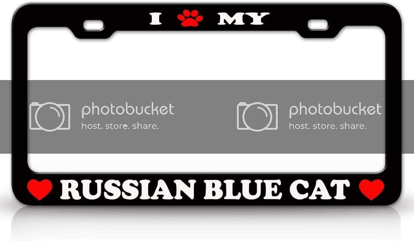 I PAW My Russian Blue Cat Pet Animal Metal Car SUV Truck License Plate Frame Bl X21